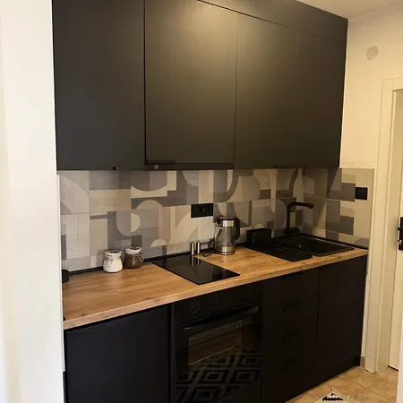 Kralj Petar I 公寓 诺威萨