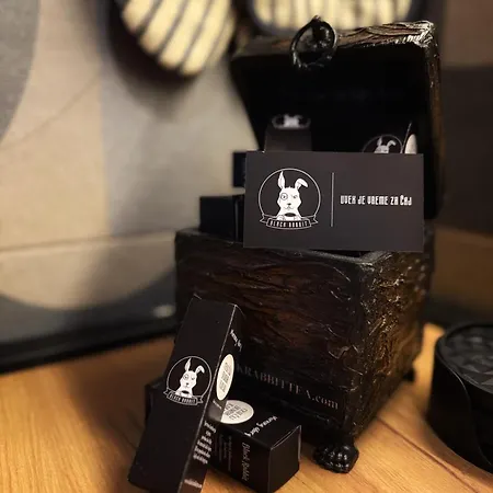 公寓 Kralj Petar I 诺威萨