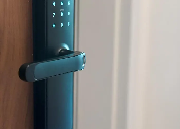 Kralj Petar I * Novi Sad